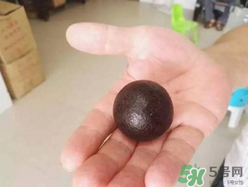 羊?qū)毷鞘裁?？羊?qū)殲槭裁催@么貴？