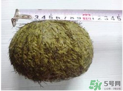 羊?qū)毷鞘裁?？羊?qū)殲槭裁催@么貴？