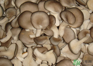 吃平菇有什么好處？平菇怎么做好吃？