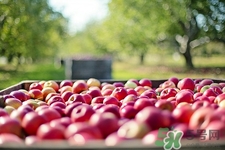 含淀粉的食物有哪些?含淀粉的食物會發(fā)胖嗎 含淀粉的食物有哪些?含淀粉的食物會發(fā)胖嗎