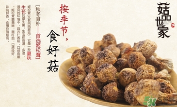 巴西蘑菇怎么吃？巴西蘑菇的作用與功效