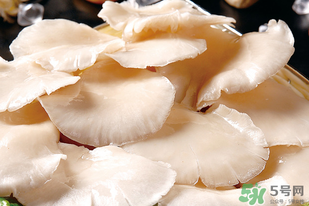 平菇怎么洗？平菇怎么洗才干凈？