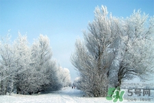 下雪天會打雷嗎？下雪天為什么會大雷？