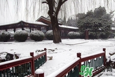 下雪高鐵會停運嗎？下雪天會影響高鐵嗎？