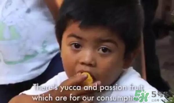 綠山咖啡和藍(lán)山咖啡有什么區(qū)別？