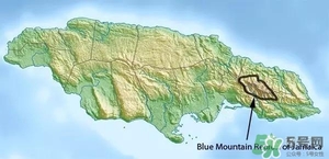 綠山咖啡和藍(lán)山咖啡有什么區(qū)別？