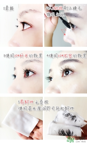 菲詩小鋪大肚子睫毛膏多少錢？菲詩小鋪大肚子睫毛膏專柜價