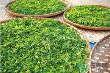 冬天喝什么茶能減肥？冬季九款茶暖胃又瘦身