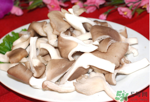 孕婦可以吃平菇嗎？孕婦吃平菇有什么好處？