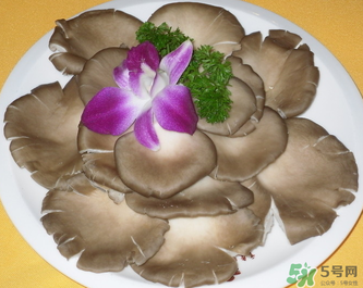 平菇是發(fā)物嗎？平菇是不是發(fā)物？