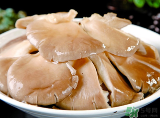 平菇是發(fā)物嗎？平菇是不是發(fā)物？