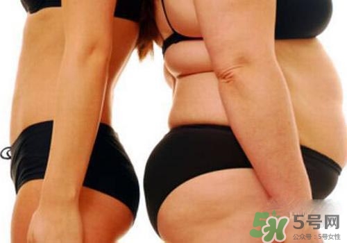 減肥反彈了還能再瘦下來嗎？減肥反彈后會不會難以再減了？