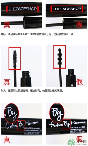 菲詩小鋪大肚子睫毛膏多少錢？菲詩小鋪大肚子睫毛膏專柜價