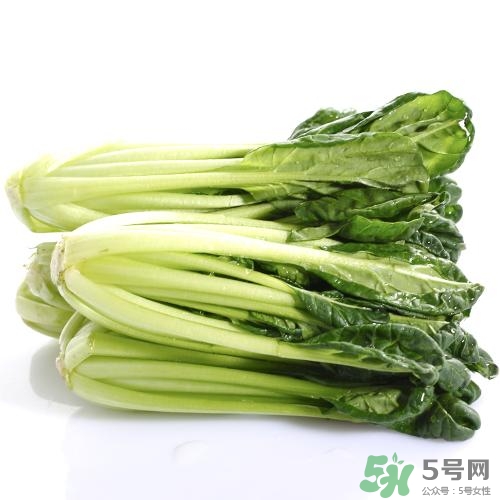 烏塌菜的營(yíng)養(yǎng)價(jià)值 烏塌菜的功效與作用 烏塌菜的營(yíng)養(yǎng)價(jià)值 烏塌菜的功效與作用