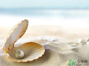 珍珠粉可以當散粉用嗎?珍珠粉能當散粉用嗎? 珍珠粉可以當散粉用嗎?珍珠粉能當散粉用嗎?