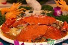 寶寶能吃螃蟹嗎？寶寶可以吃螃蟹肉嗎？