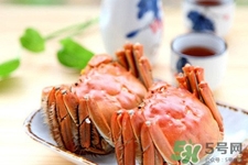 8個月寶寶能吃螃蟹稀飯嗎？八個月的寶寶能吃螃蟹嗎？