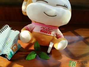 茱莉蔻玫瑰面膜怎么用？jurlique茱莉蔻玫瑰面膜使用方法