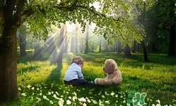 小孩可以吃鹿茸嗎?小孩吃鹿茸好嗎 小孩可以吃鹿茸嗎?小孩吃鹿茸好嗎