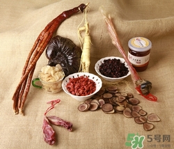 鹿茸可以泡水喝嗎?鹿茸泡水喝有什么功效 鹿茸可以泡水喝嗎?鹿茸泡水喝有什么功效