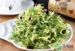 苦菊可以減肥嗎？苦菊怎么吃可以減肥？