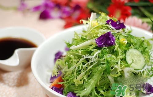 苦菊可以減肥嗎？苦菊怎么吃可以減肥？