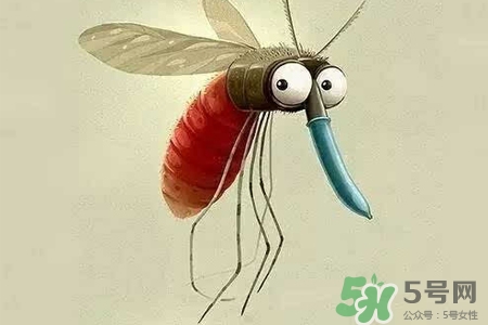 冬天為什么會(huì)有蚊子？冬天家里有蚊子怎么辦？