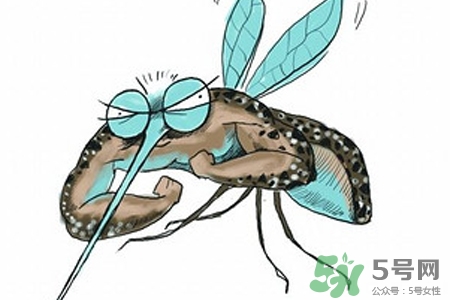 冬天為什么會(huì)有蚊子？冬天家里有蚊子怎么辦？