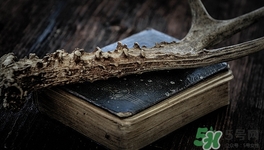 鹿茸可以和人參一起燉嗎?一起燉好嗎 鹿茸可以和人參一起燉嗎?一起燉好嗎