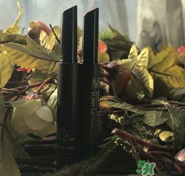 the same得鮮按壓口紅真假 得鮮按壓口紅真假鑒別 the same得鮮按壓口紅真假 得鮮按壓口紅真假鑒別