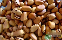 吃松子上火嗎？吃松子上火了怎么辦？