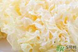 新鮮銀耳有毒嗎?新鮮銀耳怎么吃 新鮮銀耳有毒嗎?新鮮銀耳怎么吃