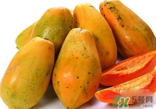 青木瓜是木瓜嗎？青木瓜和木瓜的區(qū)別