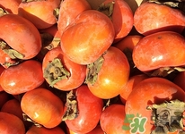 糖尿病可以吃柿餅嗎?糖尿病吃柿餅好嗎 糖尿病可以吃柿餅嗎?糖尿病吃柿餅好嗎