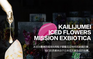 kailijumei唇膏怎么樣？凱莉聚美口紅怎么樣？