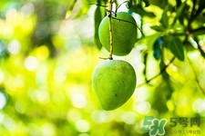 來月經(jīng)可以吃酸棗嗎?經(jīng)期吃酸棗好嗎 來月經(jīng)可以吃酸棗嗎?經(jīng)期吃酸棗好嗎