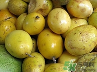 酸棗仁可以直接吃嗎?酸棗仁的功效與作用及禁忌 酸棗仁可以直接吃嗎?酸棗仁的功效與作用及禁忌