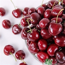 車?yán)遄釉袐D能吃嗎?孕婦吃車?yán)遄訉μ河惺裁春锰? 車?yán)遄釉袐D能吃嗎?孕婦吃車?yán)遄訉μ河惺裁春锰?