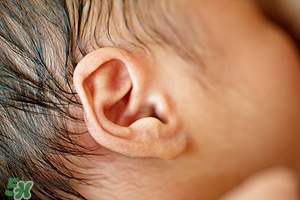 油耳朵就一定有狐臭嗎?寶寶油耳朵會(huì)是狐臭嗎?