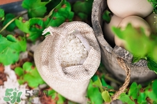 粳米和秈米哪個好吃?粳米和秈米的區(qū)別 粳米和秈米哪個好吃?粳米和秈米的區(qū)別