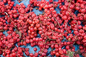 五味子茶韓國怎么喝？五味子茶的五種味道代表什么？