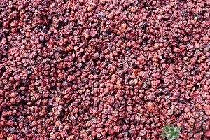 五味子茶韓國怎么喝？五味子茶的五種味道代表什么？