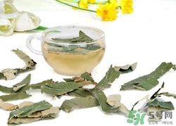 荷葉茶可以天天喝嗎?荷葉茶喝多了有什么害處 荷葉茶可以天天喝嗎?荷葉茶喝多了有什么害處
