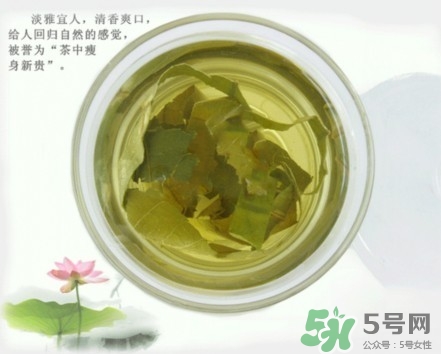 荷葉茶可以天天喝嗎?荷葉茶喝多了有什么害處 荷葉茶可以天天喝嗎?荷葉茶喝多了有什么害處