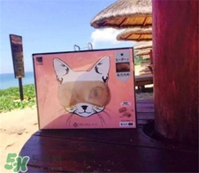 atex貓咪眼罩真假 atex貓咪眼罩真假辨別 atex貓咪眼罩真假 atex貓咪眼罩真假辨別