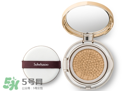 雪花秀氣墊適合油皮嗎？雪花秀氣墊適合油性皮膚嗎？