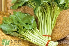 冬天可以吃空心菜嗎？冬天排毒多吃空心菜