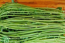 冬天可以吃空心菜嗎？冬天排毒多吃空心菜