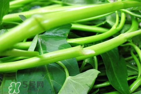 冬天可以吃空心菜嗎？冬天排毒多吃空心菜