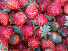 孕婦冬天能吃草莓嗎？孕婦冬天吃草莓好嗎？